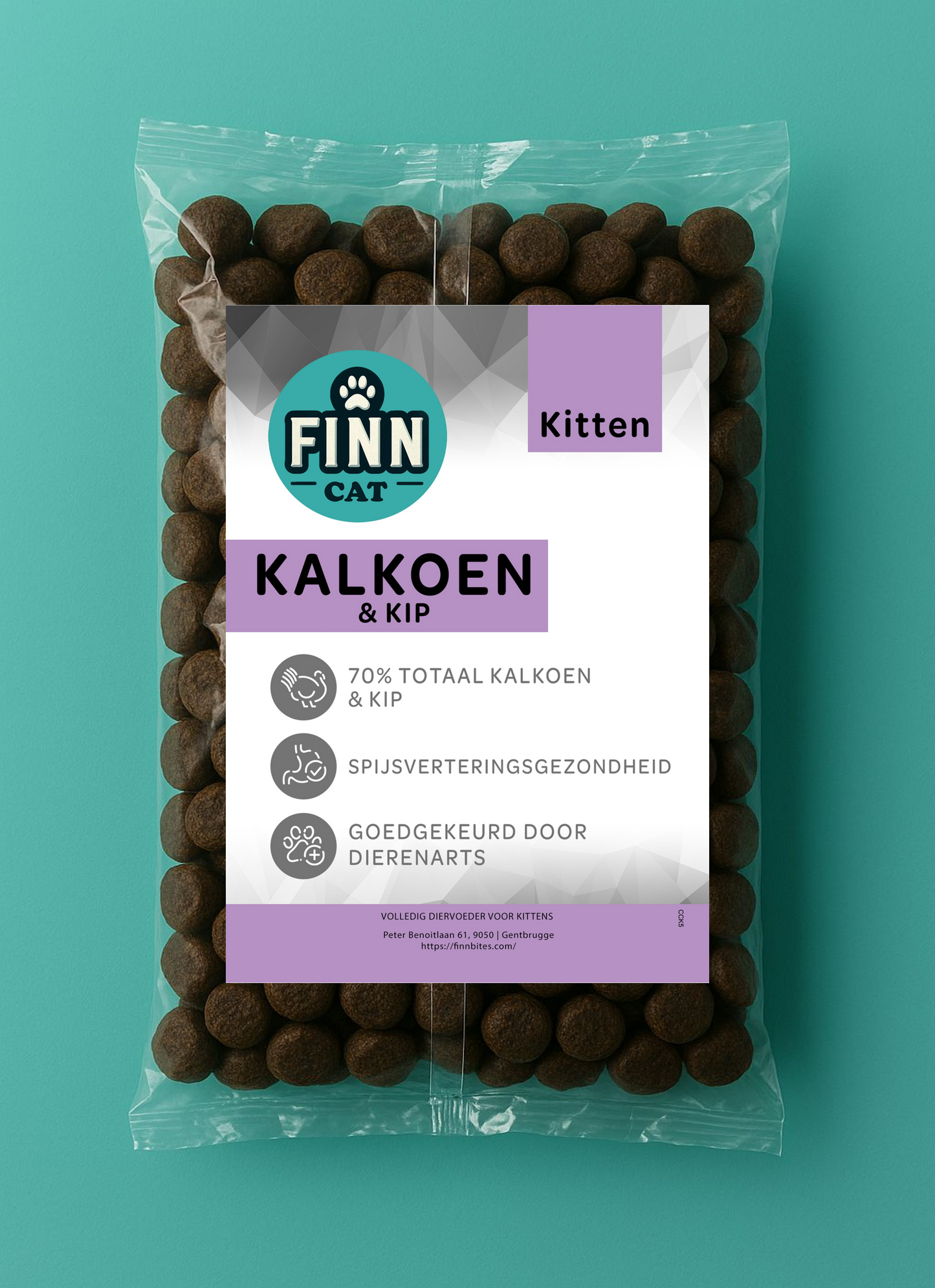 Testbox Kitten