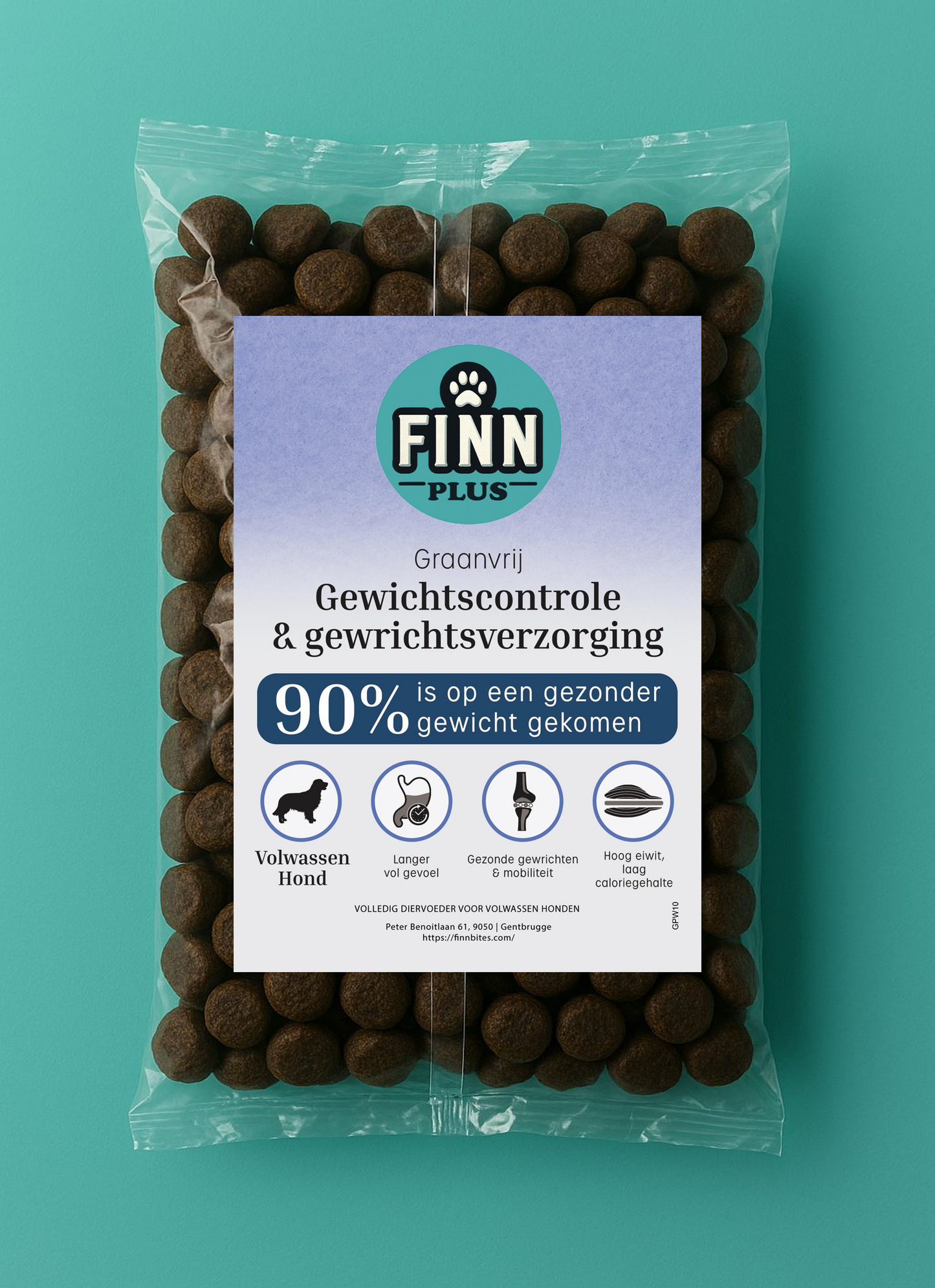Testbox Puppy Groot Ras