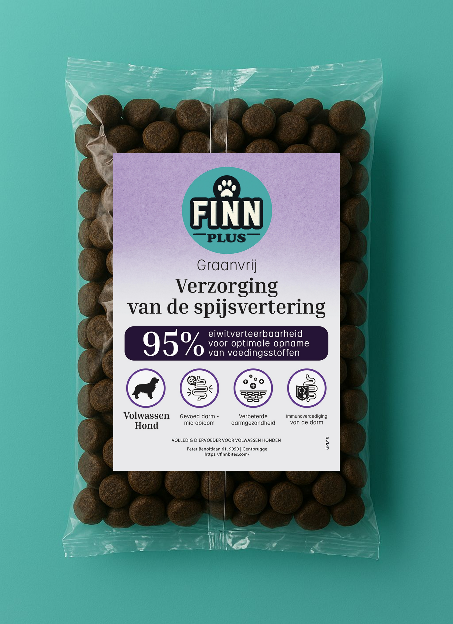 Testbox Puppy Groot Ras