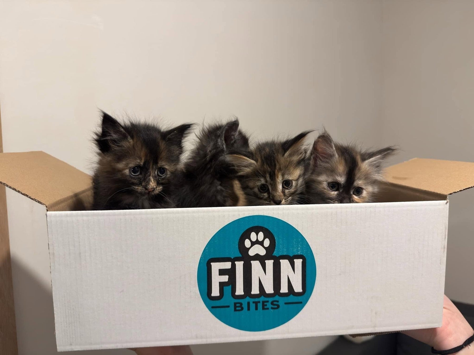 FinnBites voor hond en kat