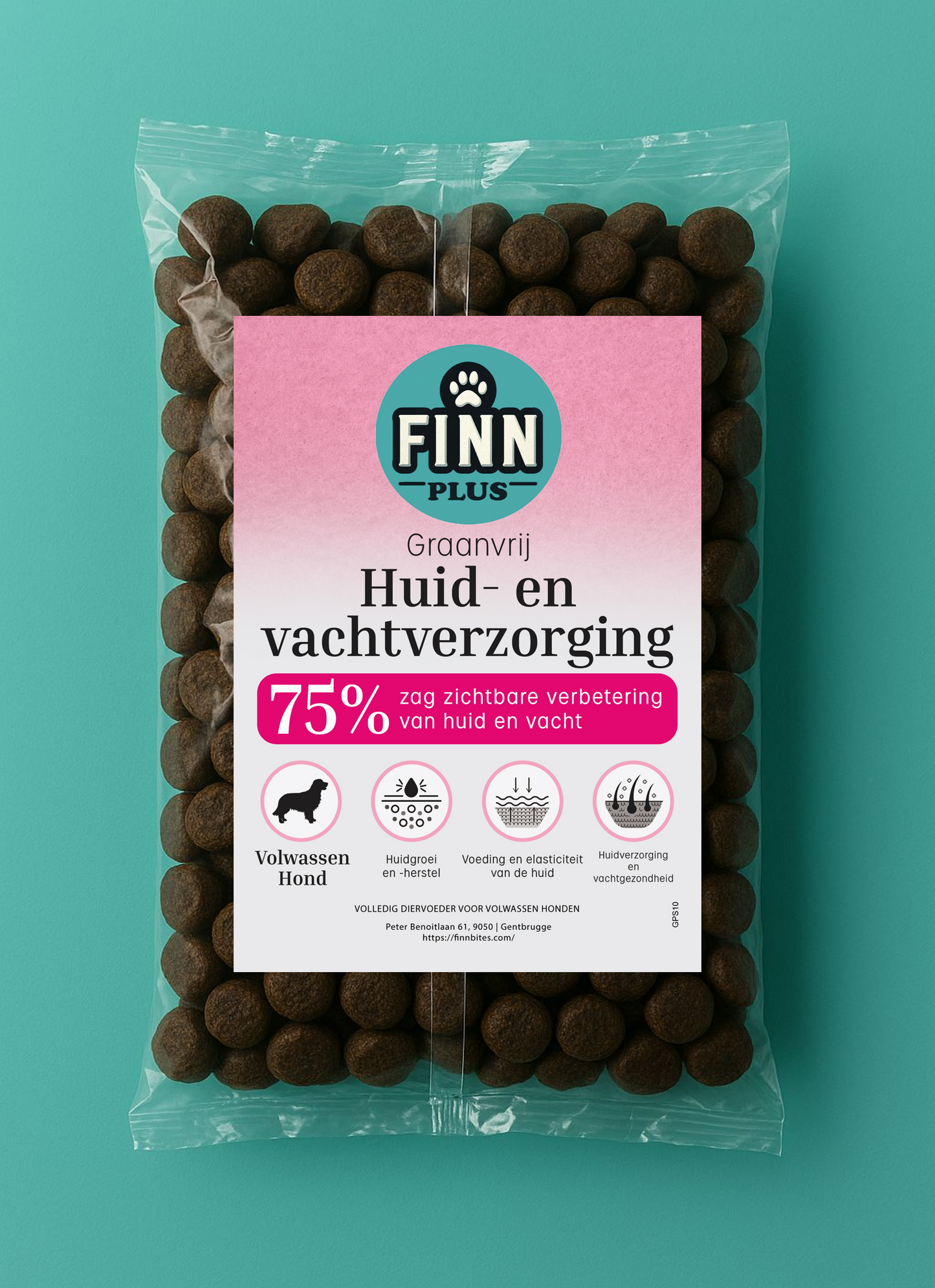 Testbox Puppy Groot Ras