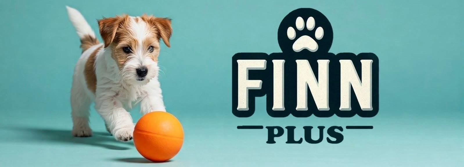 FINN PLUS