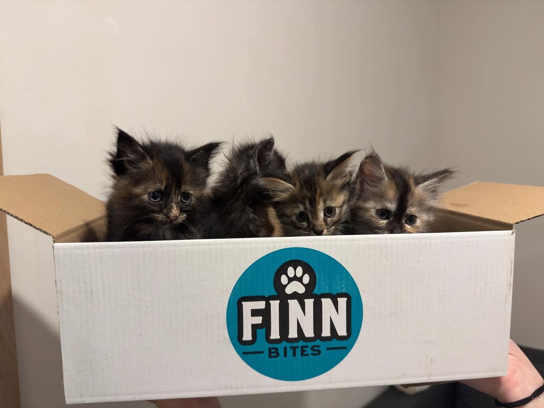 FinnBites klantfoto 2